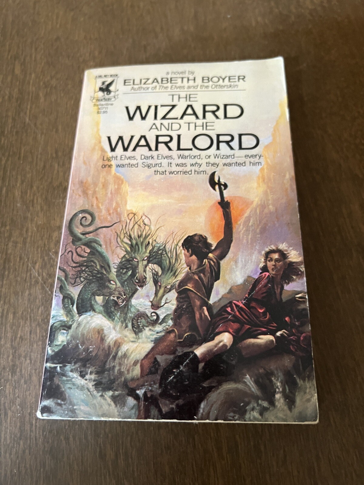 The Wizard And The Warlord By Elizabeth Boyer 1983 paperback Del Rey