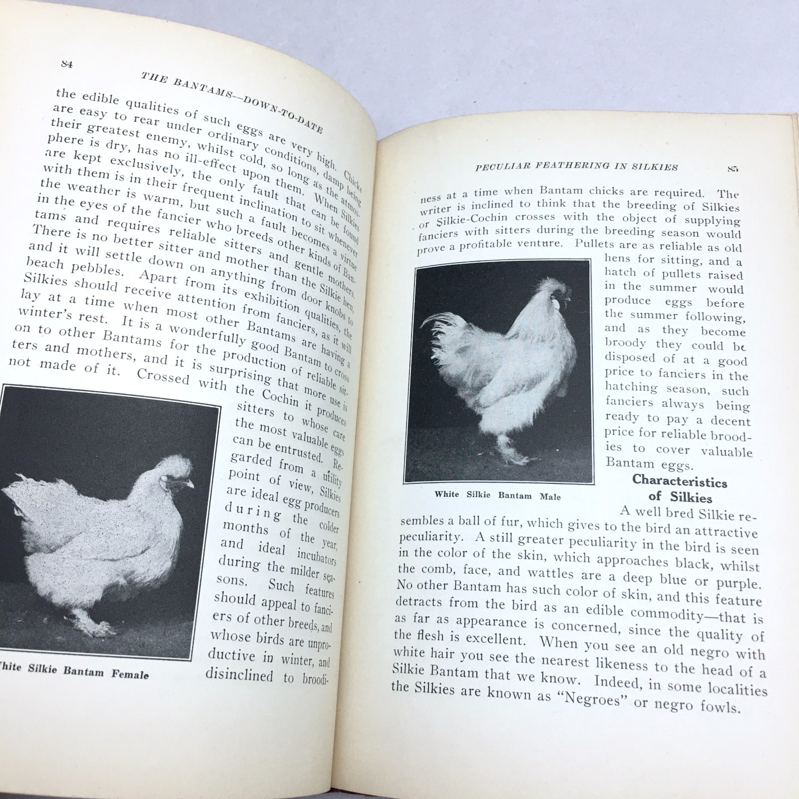 Antique Book 1925 „The Bantams Down to Date“ by Joseph Shakespeare Chicken Guide