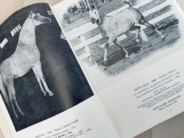 Arabian Horse Yearbook 1966 IAHA Vol XIV Arabian Horse Books / Memorabilia
