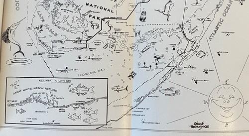 THEY ALL CALLED IT TROPICAL : TRUE TALES OF THE ROMANTIC EVERGLADES 1957