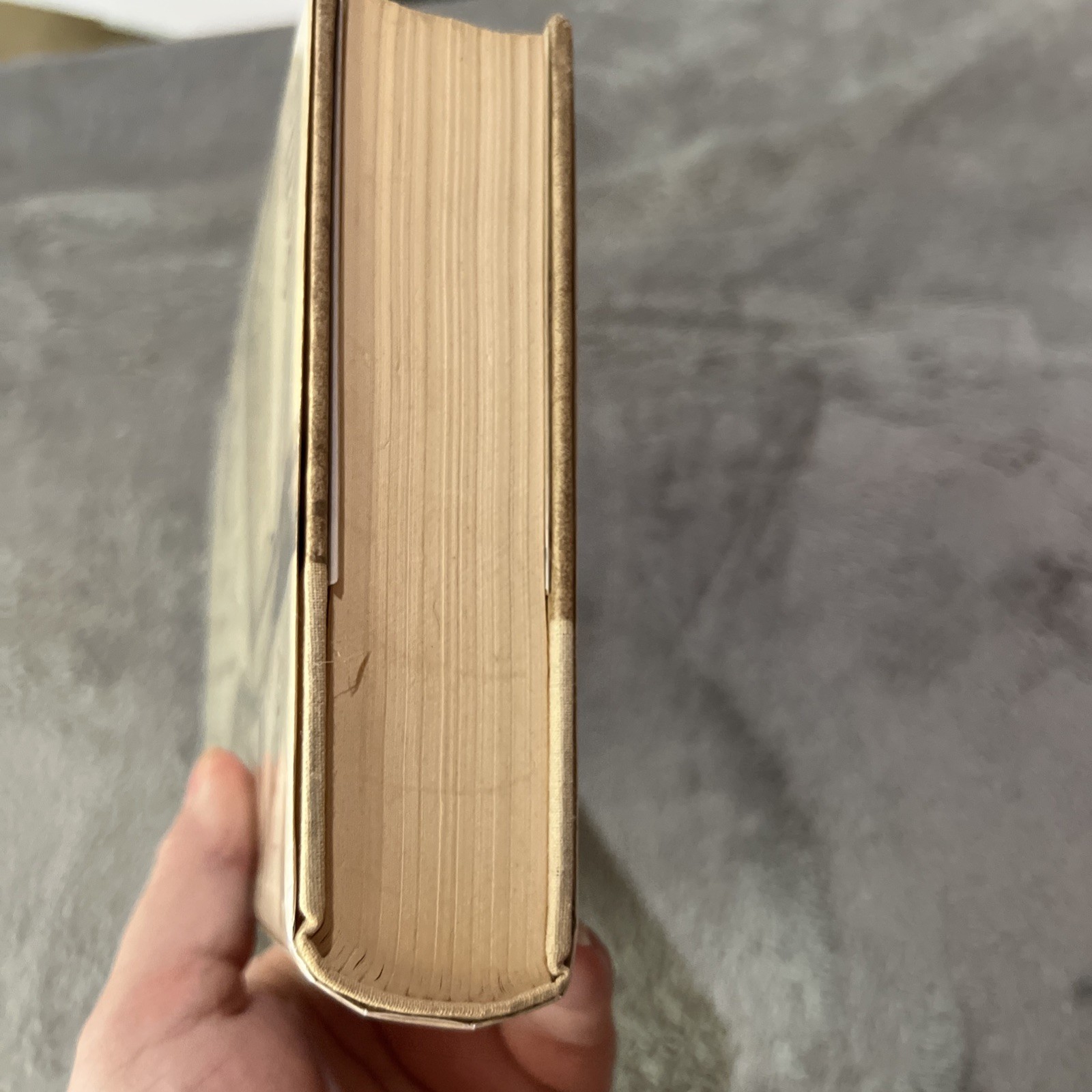 Mart Lee Settle O BEULAH LAND First Edit 1st Print Novel Of Virginia Wilderness