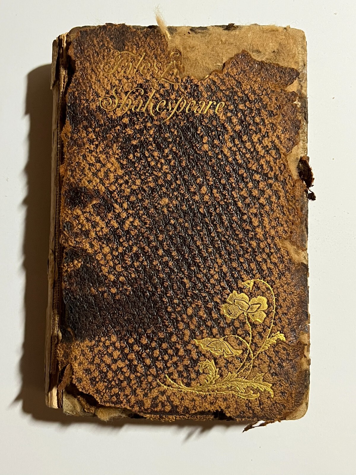 Tales from Shakespeare Book by Charles and Mary Lamb 1899 Thomas Y. Crowell NY