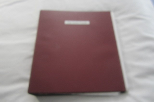 Three Ring Binder – The Stultz Family – 96 Pages – STIEF, STEEVES, STULTS