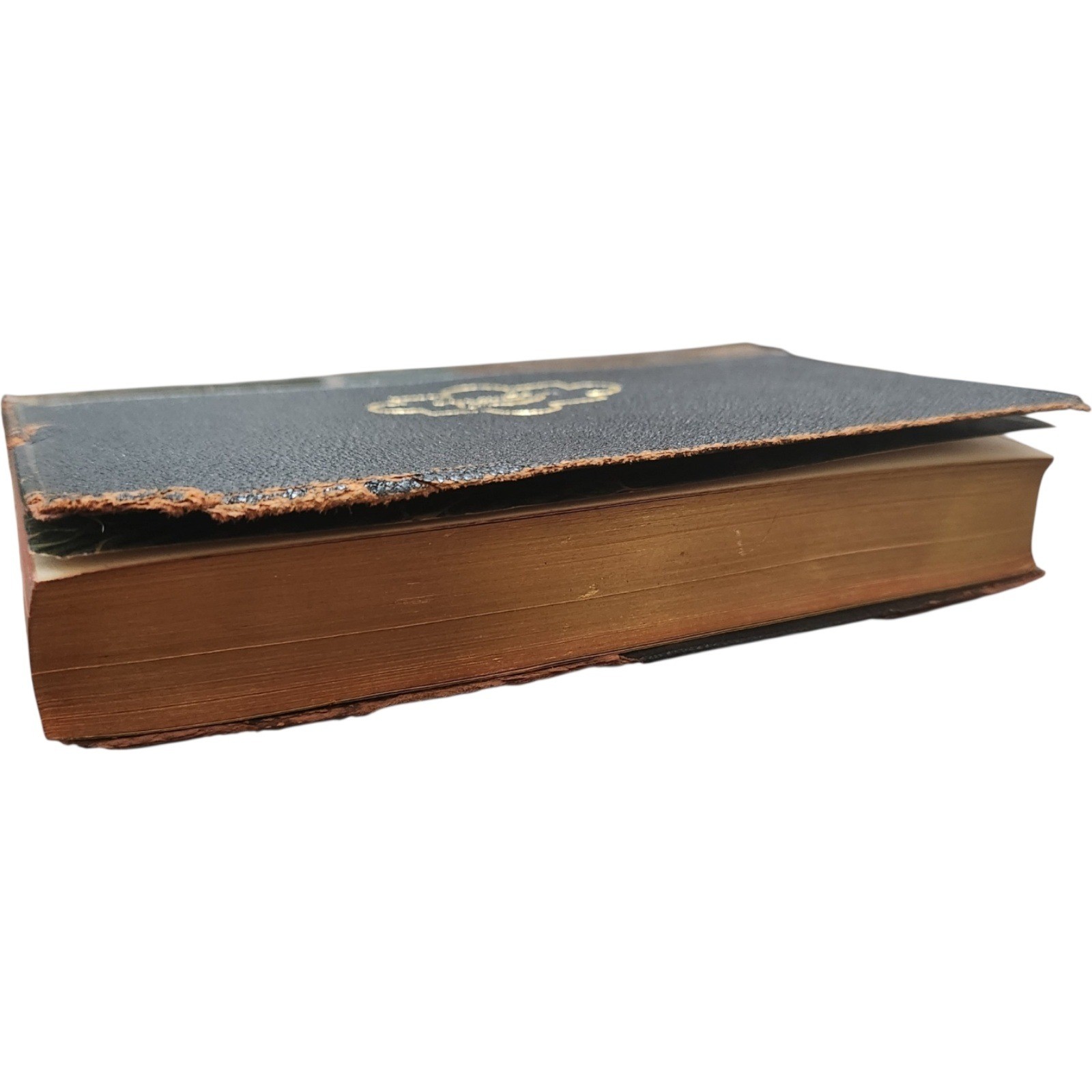 The Newcomes William Thackeray Thomas Nelson & Sons Antique Gilt Spine Book