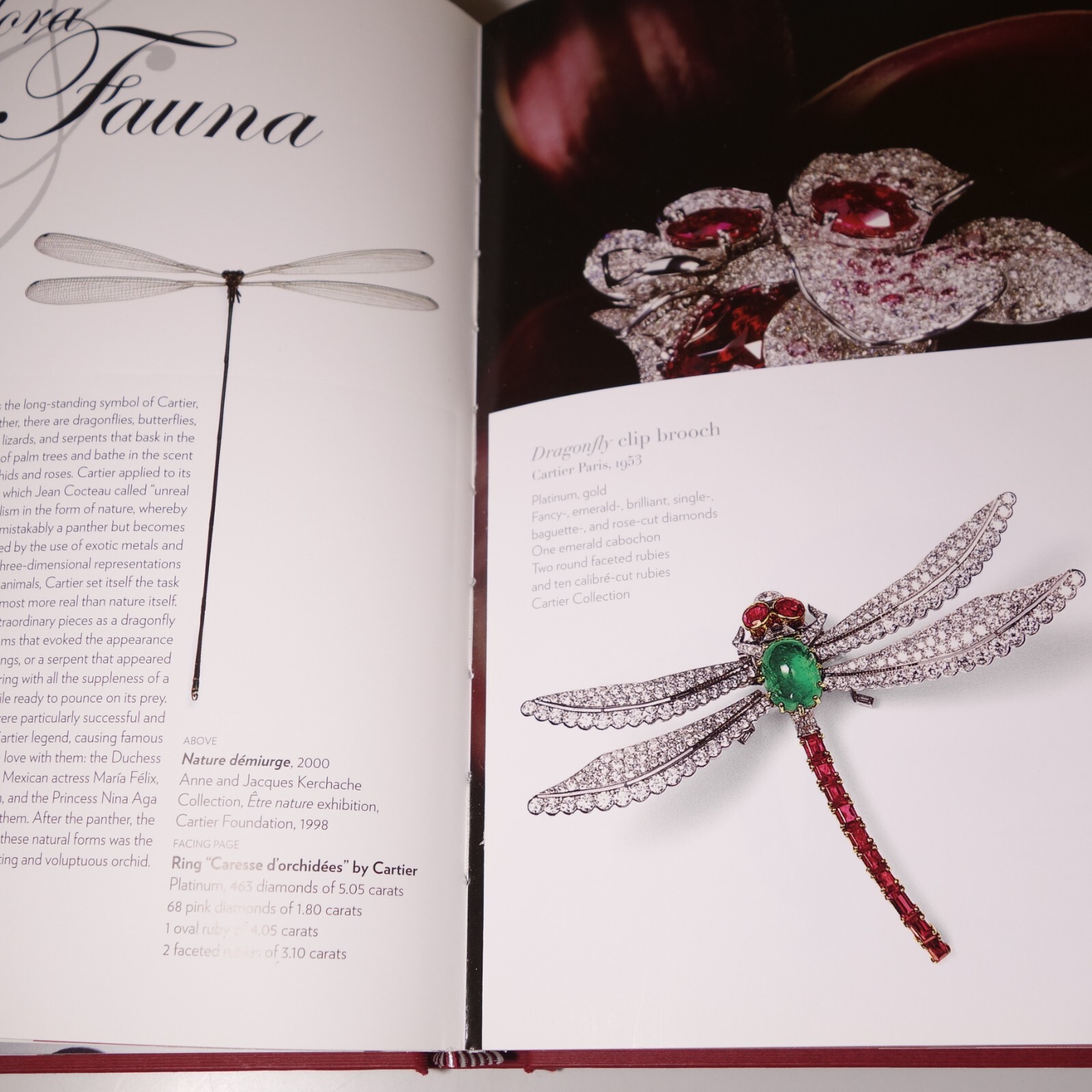 Cartier 2008 Hardcover Book by Francois Chaille w/ Sleeve Box, Sz 9.5 in x 6 in