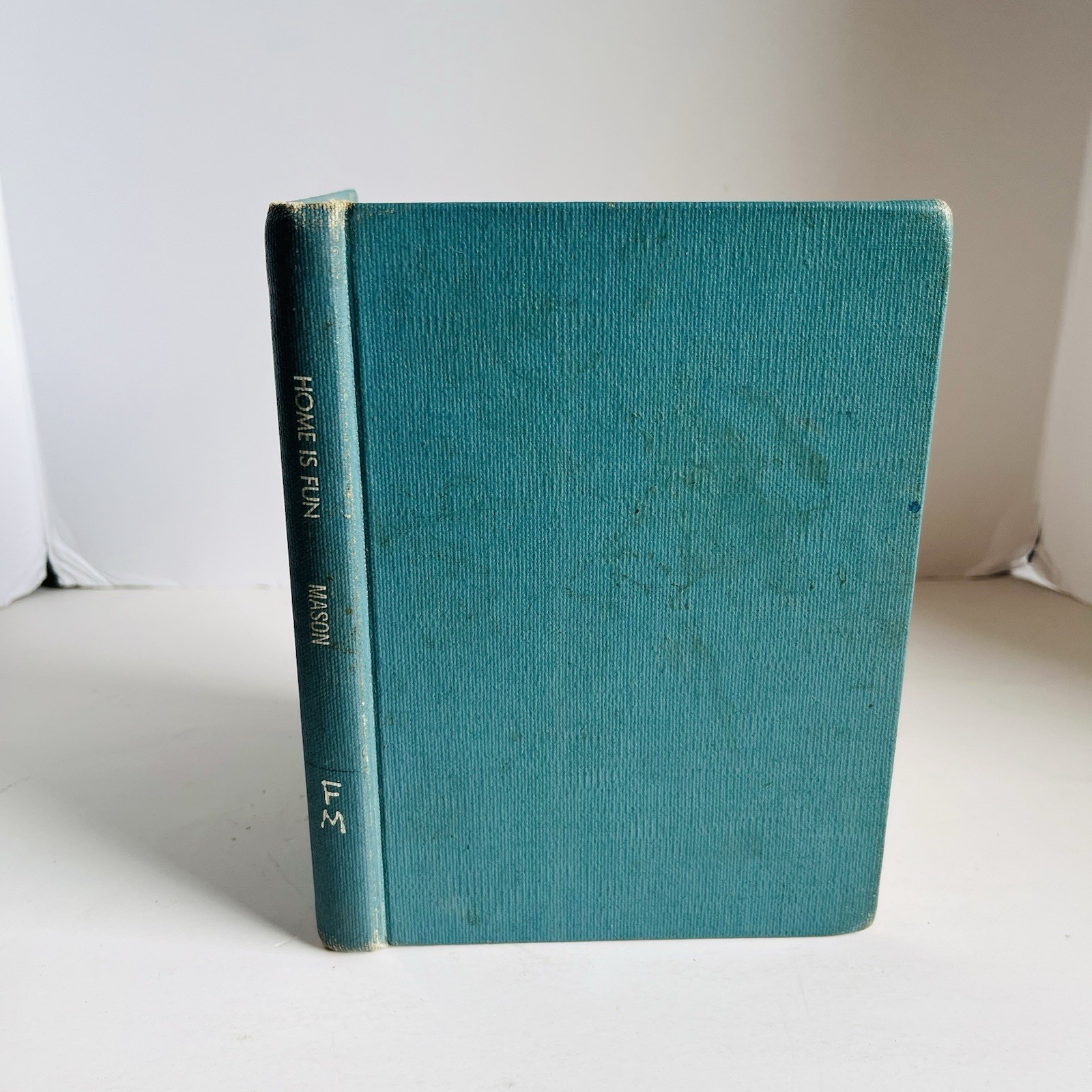 Vintage Home Is Fun by Miriam E. Mason Primary Social Studies School Reader 1939