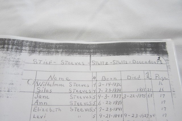 Three Ring Binder – The Stultz Family – 96 Pages – STIEF, STEEVES, STULTS