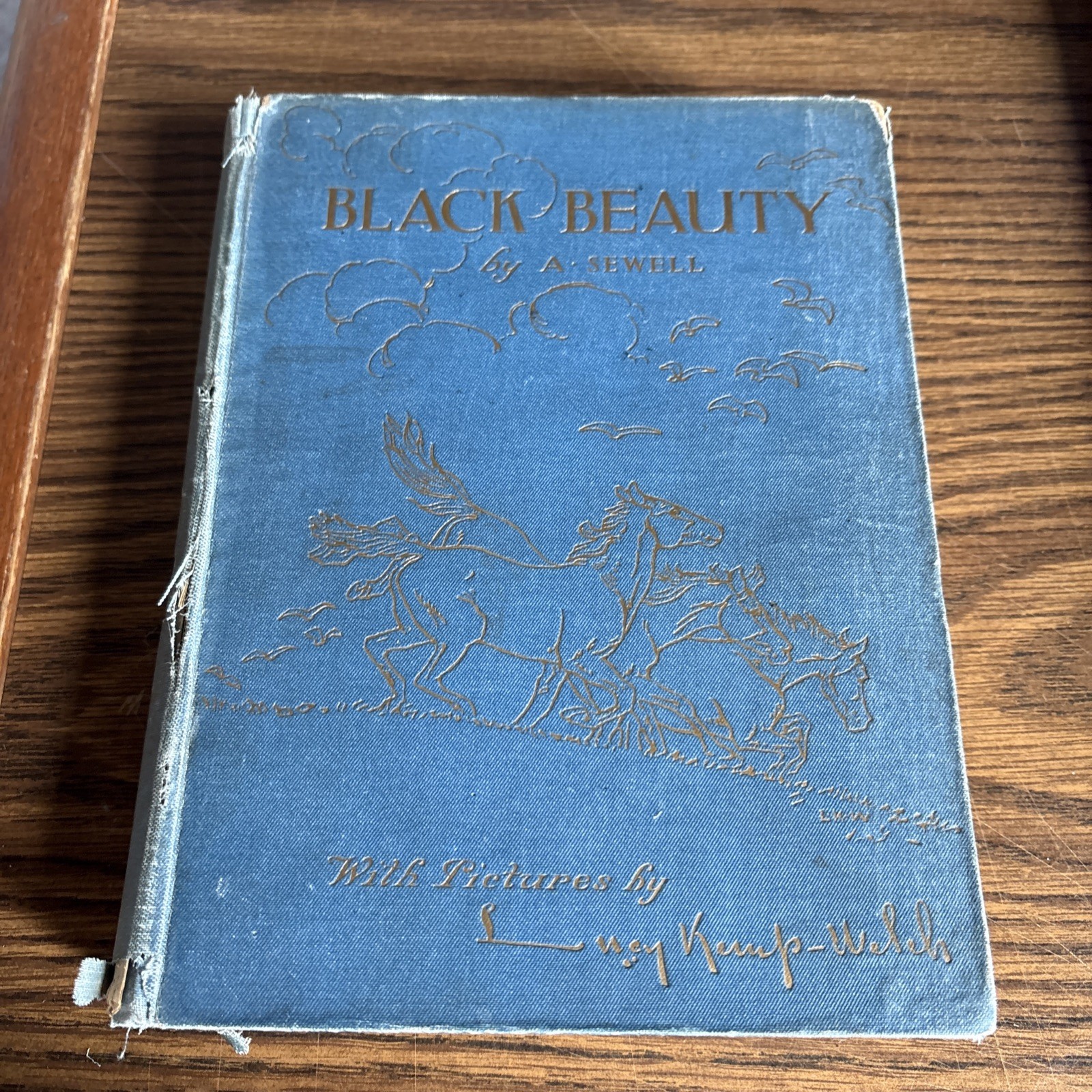 Black Beauty 1915 – Anna Sewell & Lucy Kemp-Welch J.M. Dent Illustrated