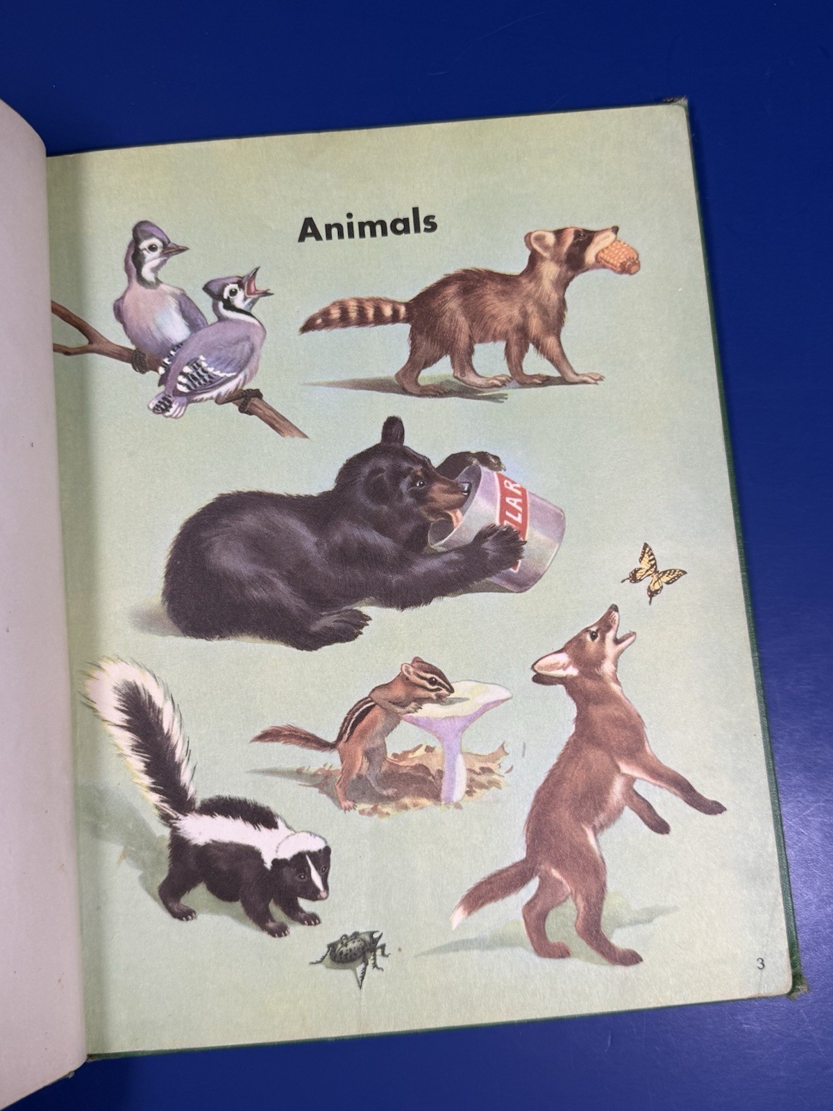 All Around Us Basic Studies in Science Book B. Curriculum foundation series.
