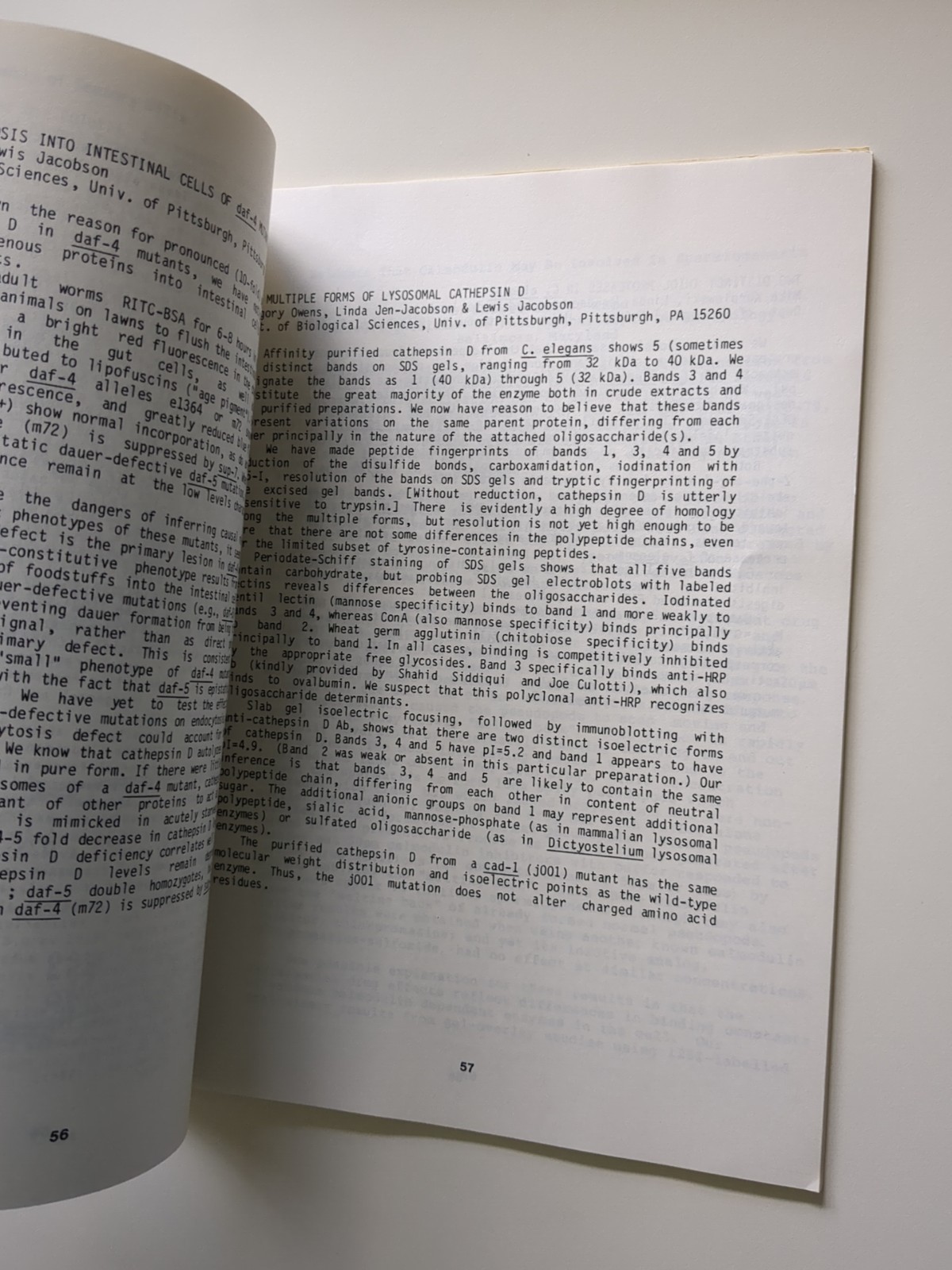 Worm Breeder’s Gazette Volume 8 No 3 1984 – George Poinar Jr. Estate