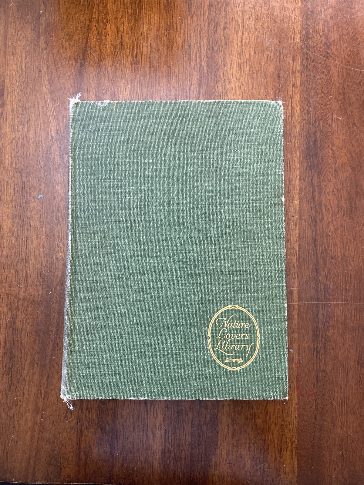 Birds Of Other Lands The University Society Inc 1917