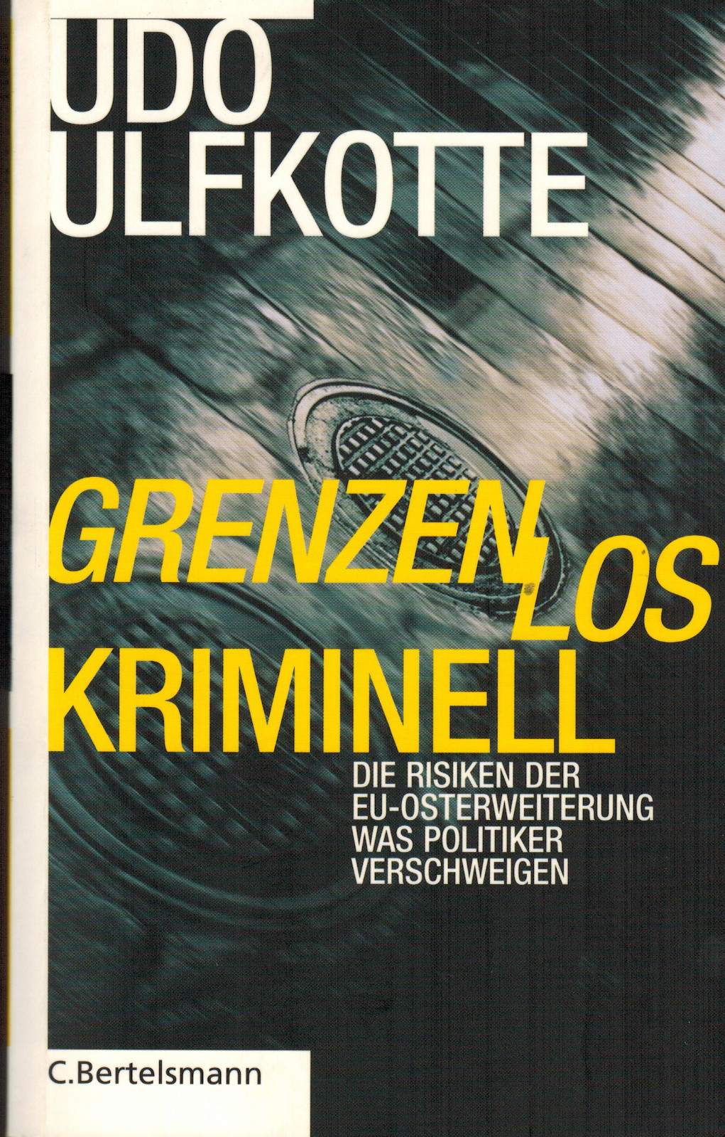 Ulfkotte, unlimited criminal, risks EU Eastern enlargement, politics hidden