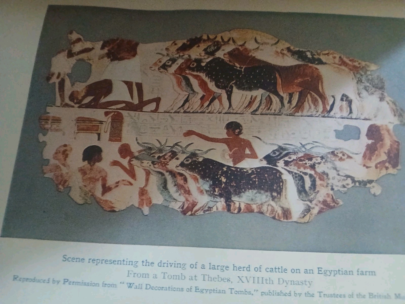 The Myths of Ancient Egypt by Lewis Spence 1917 16 Color Plates VGC