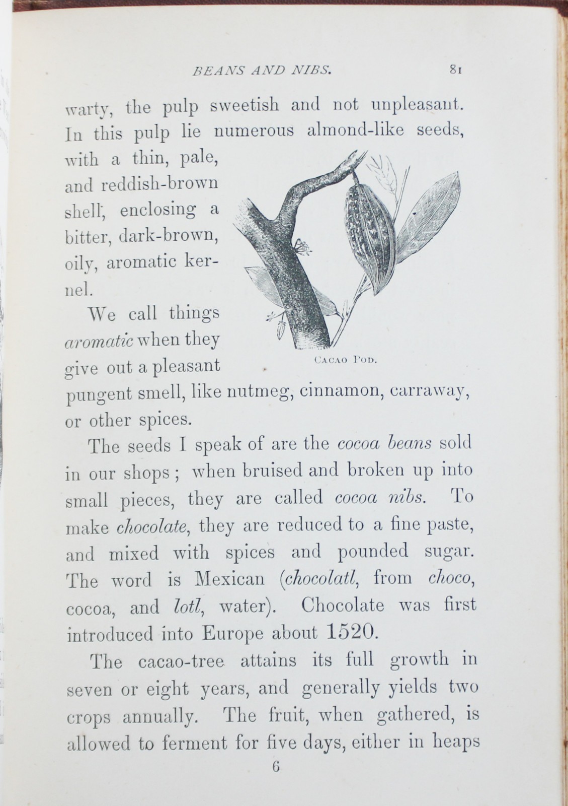 Rare Antique Old Book Useful Plants 1870 Nature Garden Flower Tea Sugar Cacao ?