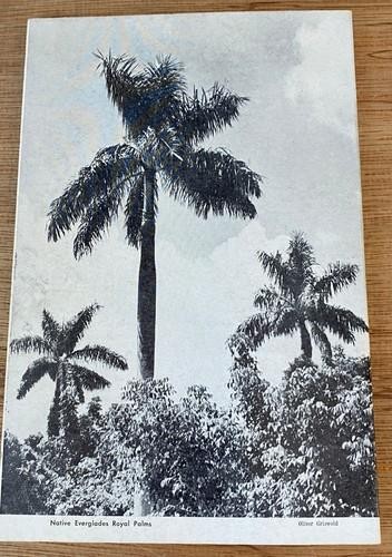 THEY ALL CALLED IT TROPICAL : TRUE TALES OF THE ROMANTIC EVERGLADES 1957
