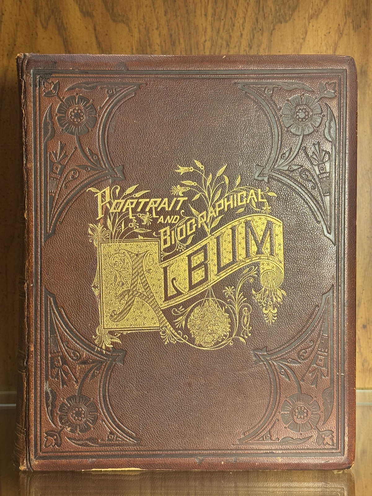 1ST ED PORTRAIT & BIOGRAPHICAL ALBUM, ISABELLA COUNTY, MI (HARDCOVER, 1884)