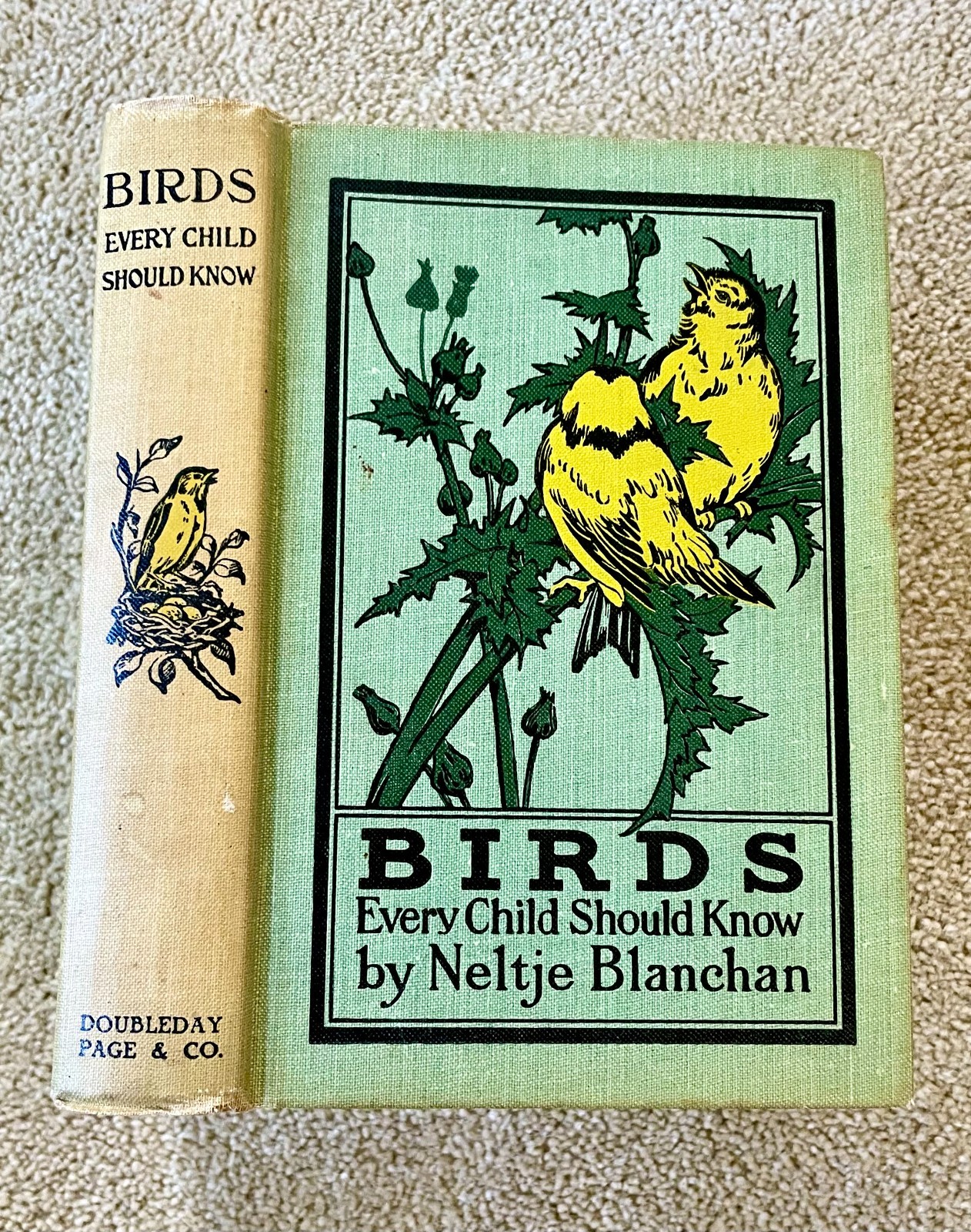 Birds Every Child Should Know by Neltje Blanchan 1914 HC Near Fine Condition