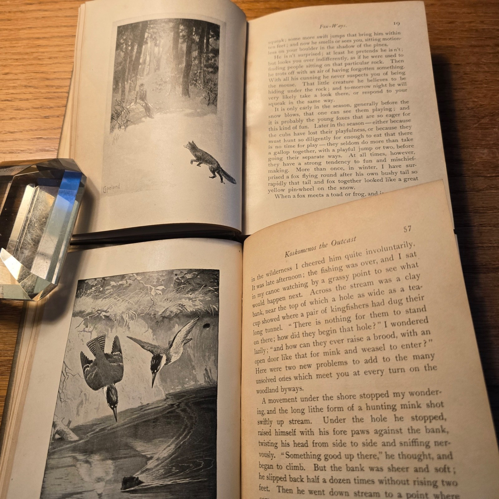 Ways of the Wood Folk, Secrets of the Woods 1899, 1901, william j long
