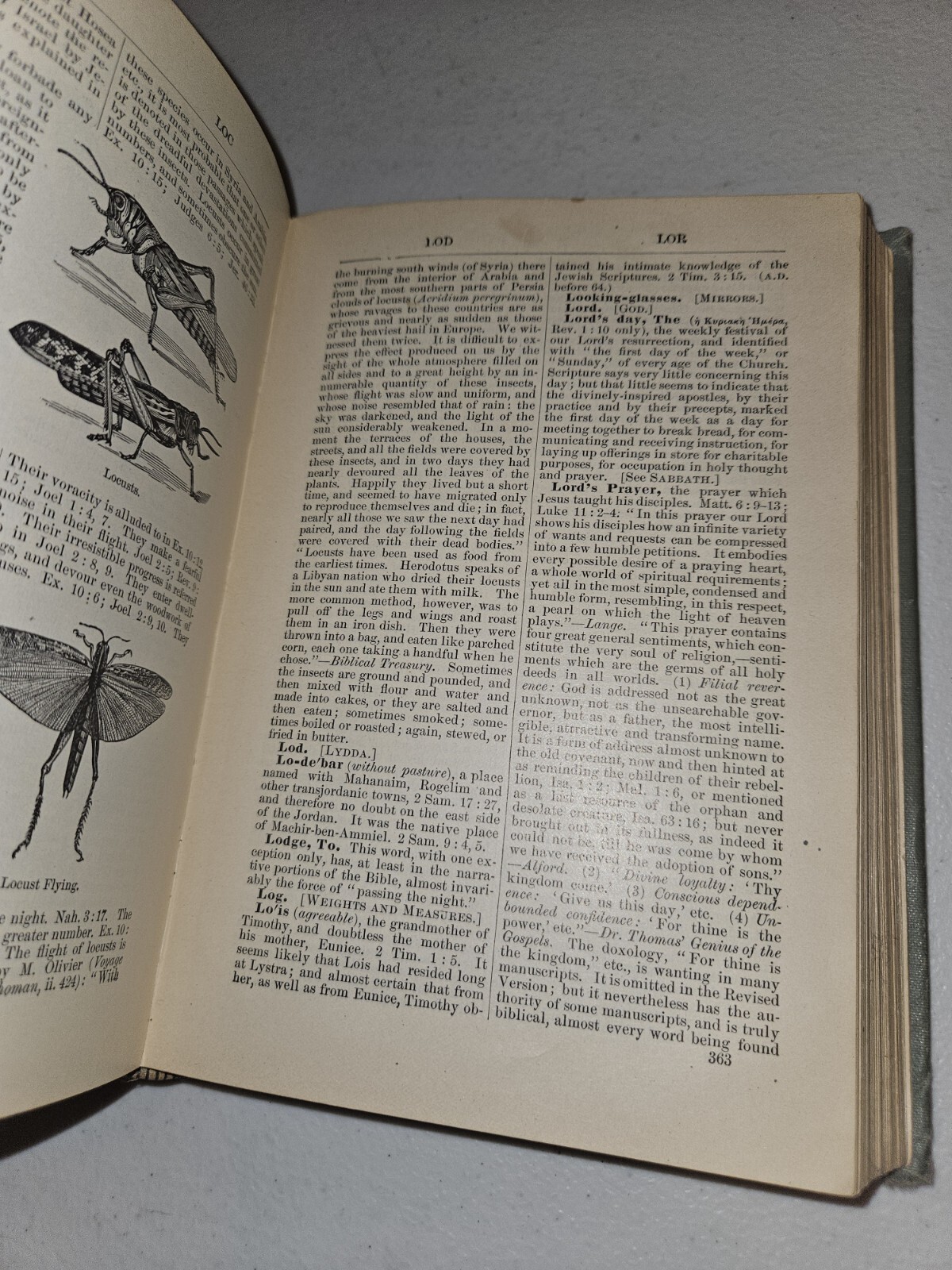 Bible Dictionary William Smith, Porter and Coates 1884 Teachers Edition
