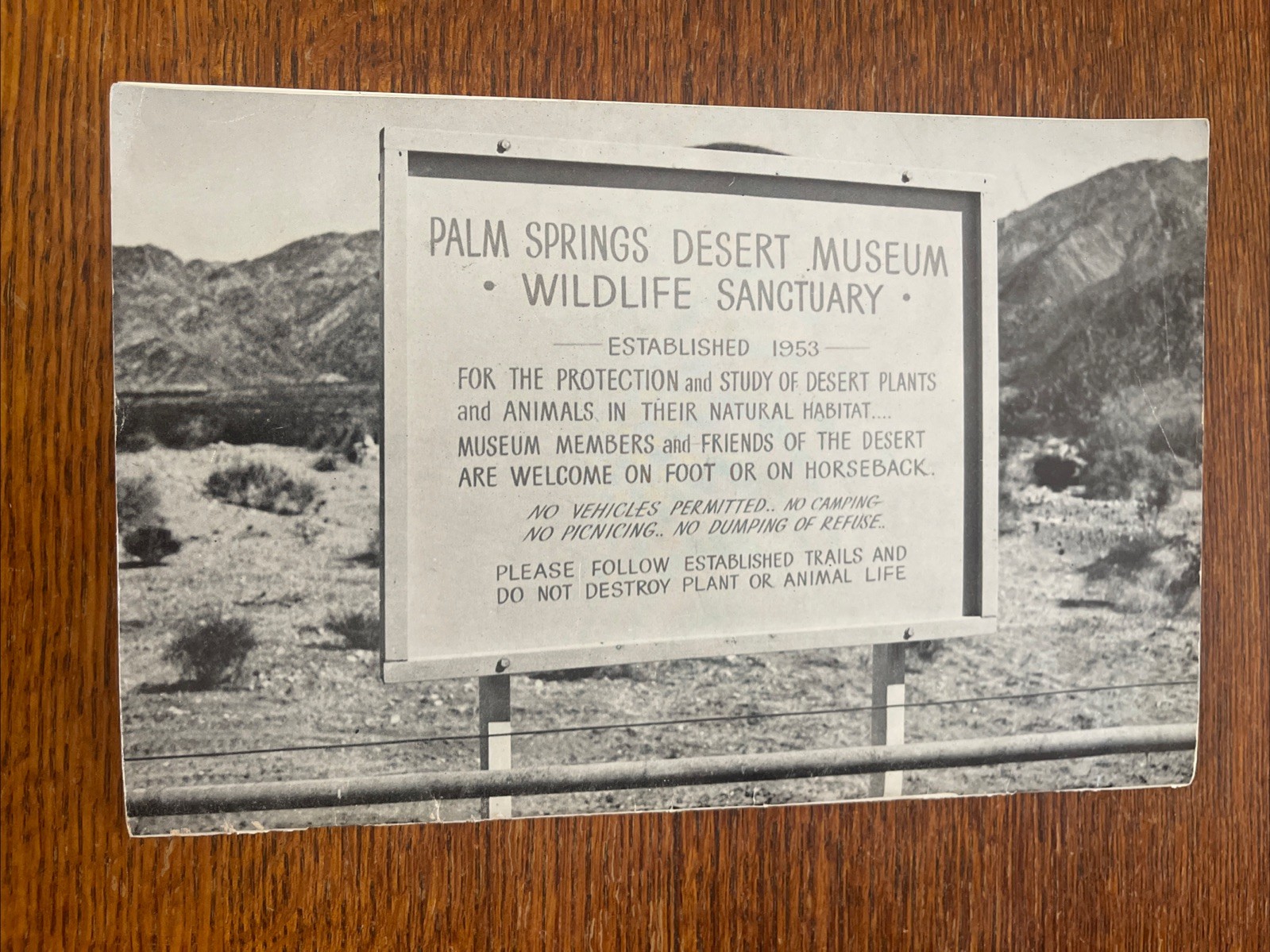 The Desert In Pictures by PALM SPRINGS DESERT MUSEUM Vintage Book