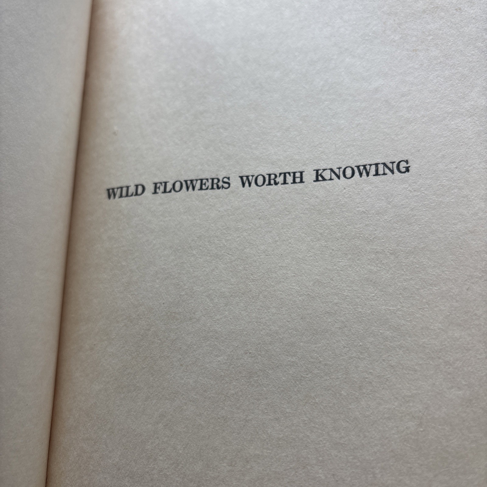 Little Nature Wild Flowers Worth Knowing 1ST Edition Neltje Blanchan 1922