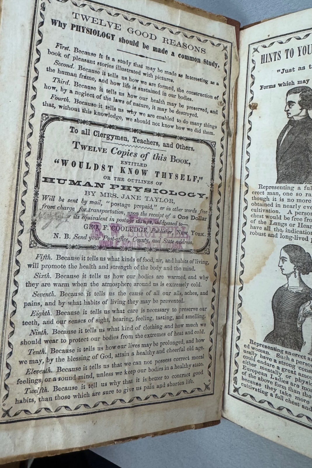 „Wouldst Know Thyself“ – 1858 – Jane Taylor – Victorian Era Physiology Book