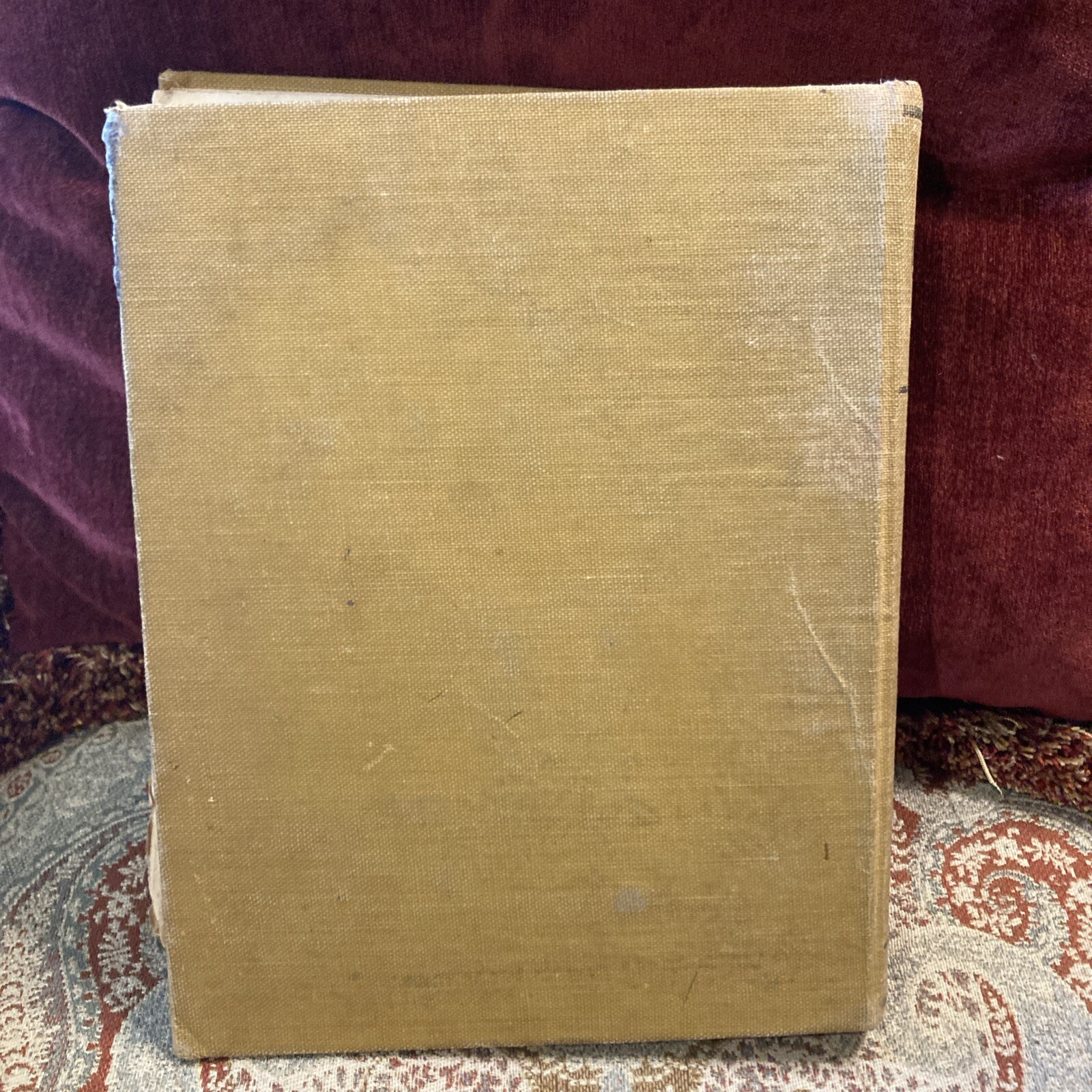 The Children‘s Book