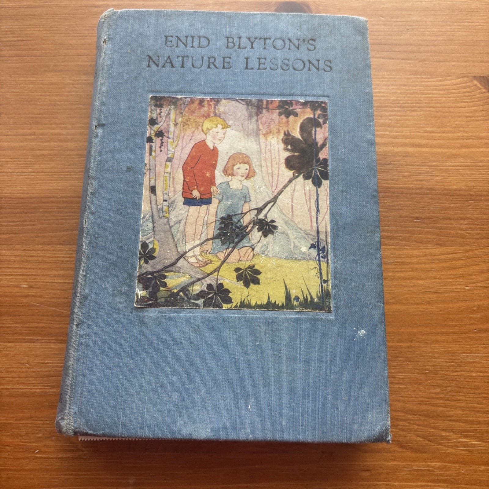 ENID BLYTON’S NATURE LESSONS – Blyton, Enid