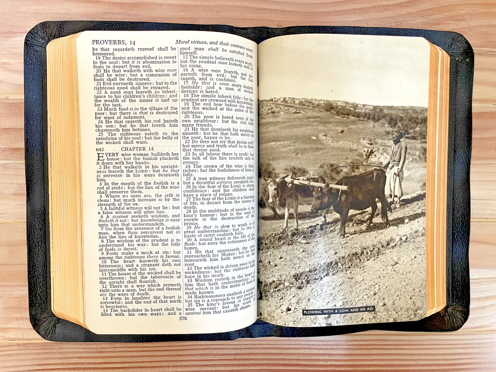 THE HOLY BIBLE, COLLINS‘ CLEAR-TYPE PRESS (1950s Black Leather, KJV, Slipcase)