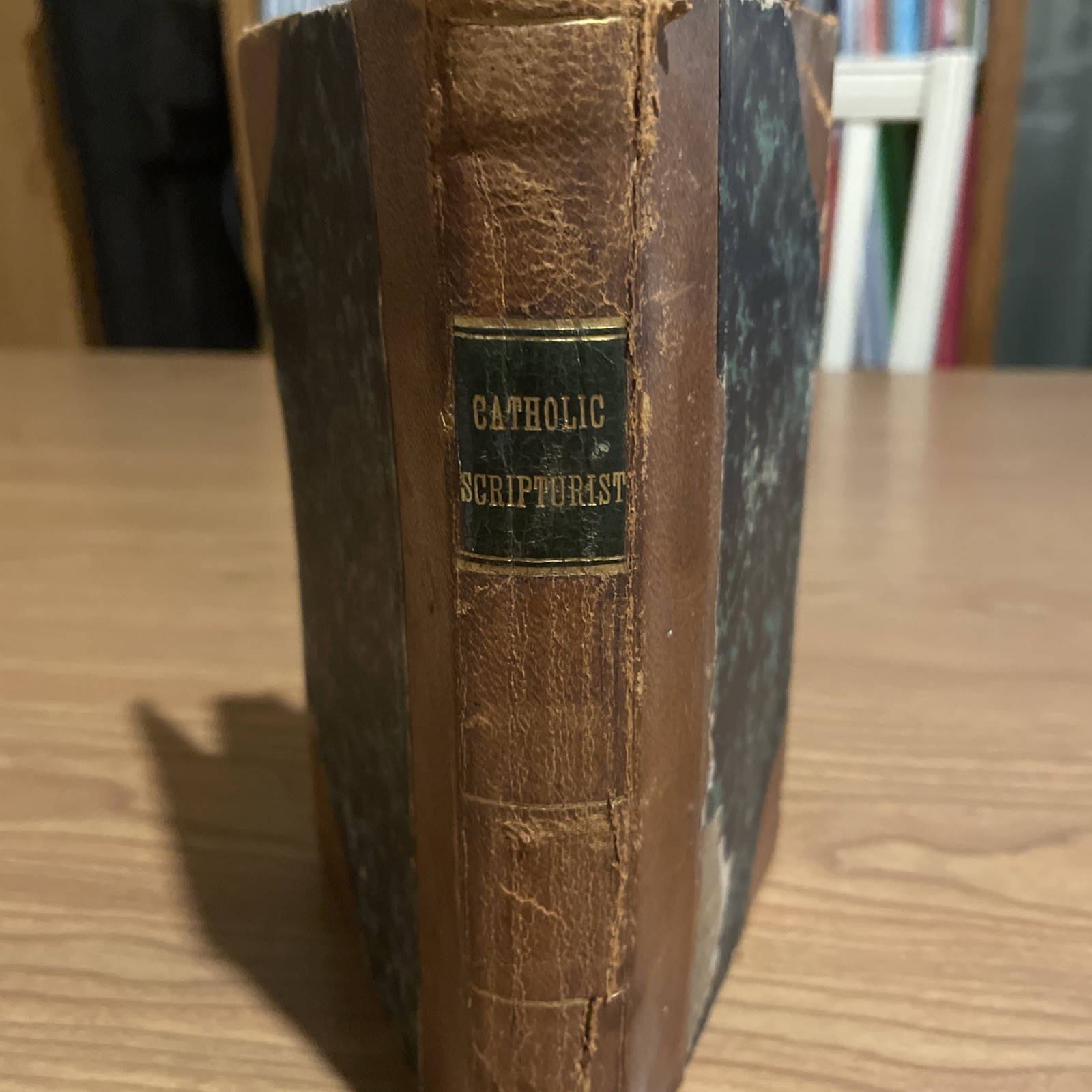 The Catholic Scripturist; or, The Plea of the Roman Catholics; Baltimore 1809