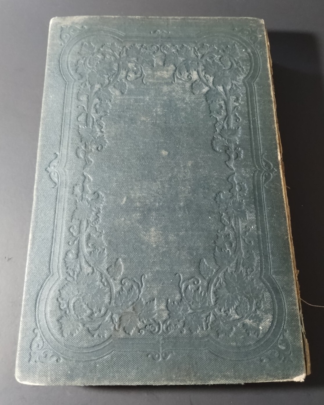 Palatinate At Rhine Rhein Pfalz Illus. Antique, Decorative Hardcover Book 1850’s