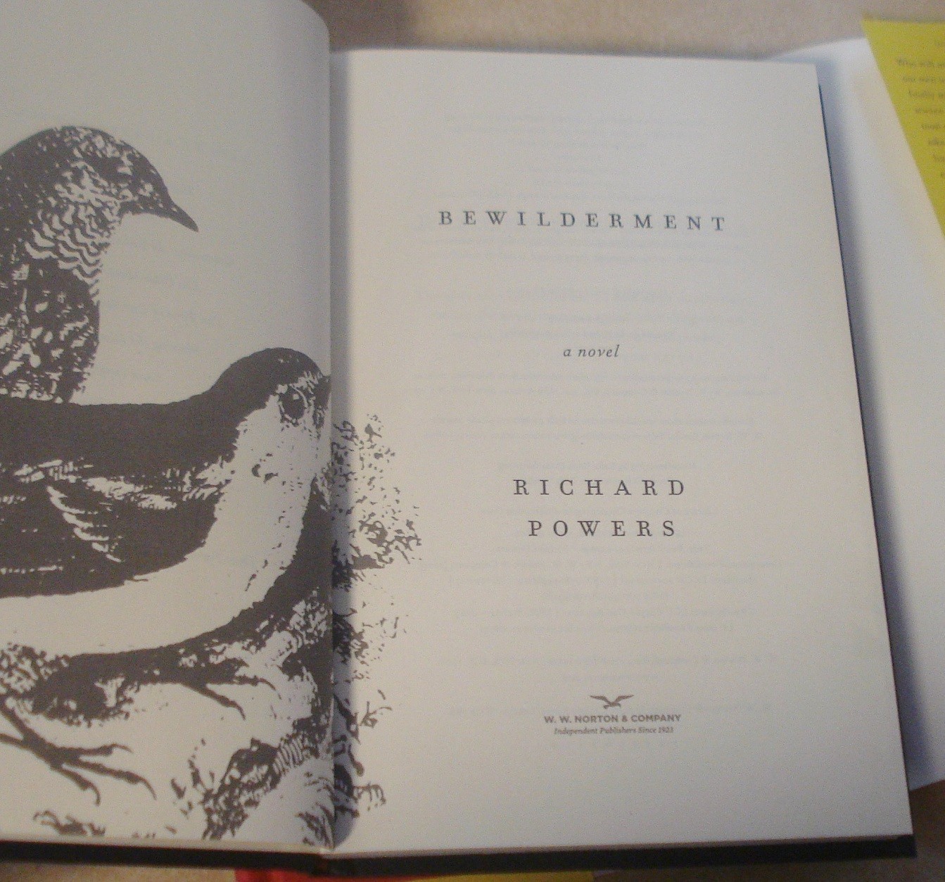 4 Richard Powers 1st Ed The Echo Maker Generosity Bewilderment Playground HCDJ