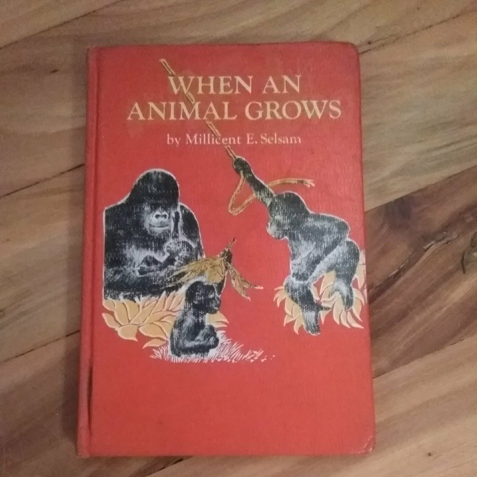 When an Animal Grows by Millicent E. Selsam – 1966 A Science I Can Read Book