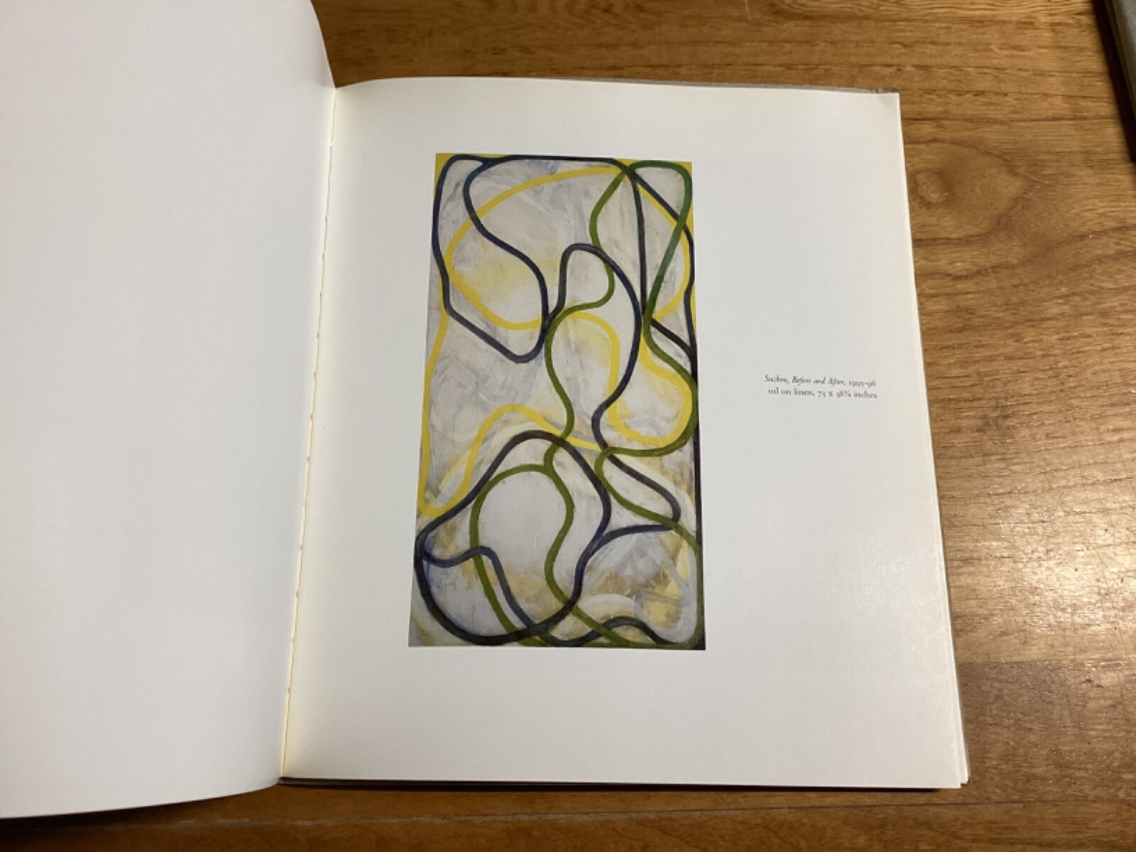 1988-1997 Rare Gallery Catalogues On The Art Of Brice Marden – See Below