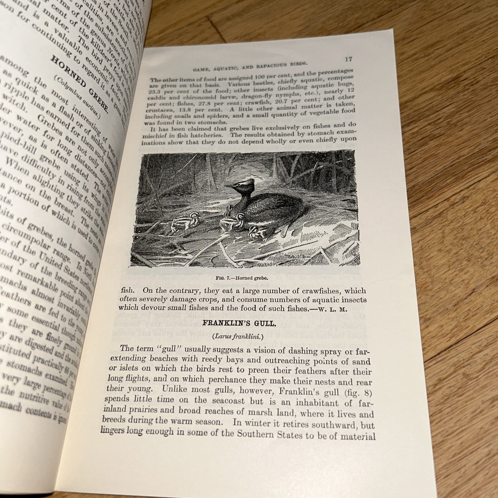 2 USDA Books COMMON USEFUL BIRDS / GAME AQUATIC & RAPACIOUS BIRDS 1926 / 1924
