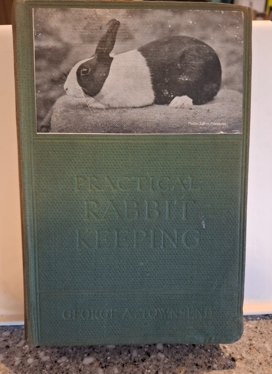 Practical Rabbit Keeping Illus. HB 1912 1st Ed George A Townsend Vintage Farming