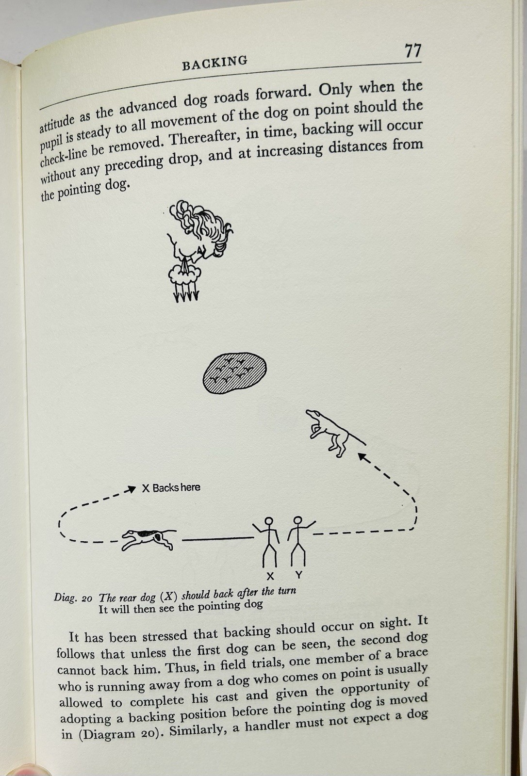 Training Setters and Pointers for Field Trials by John Beazley HC with DJ 1974