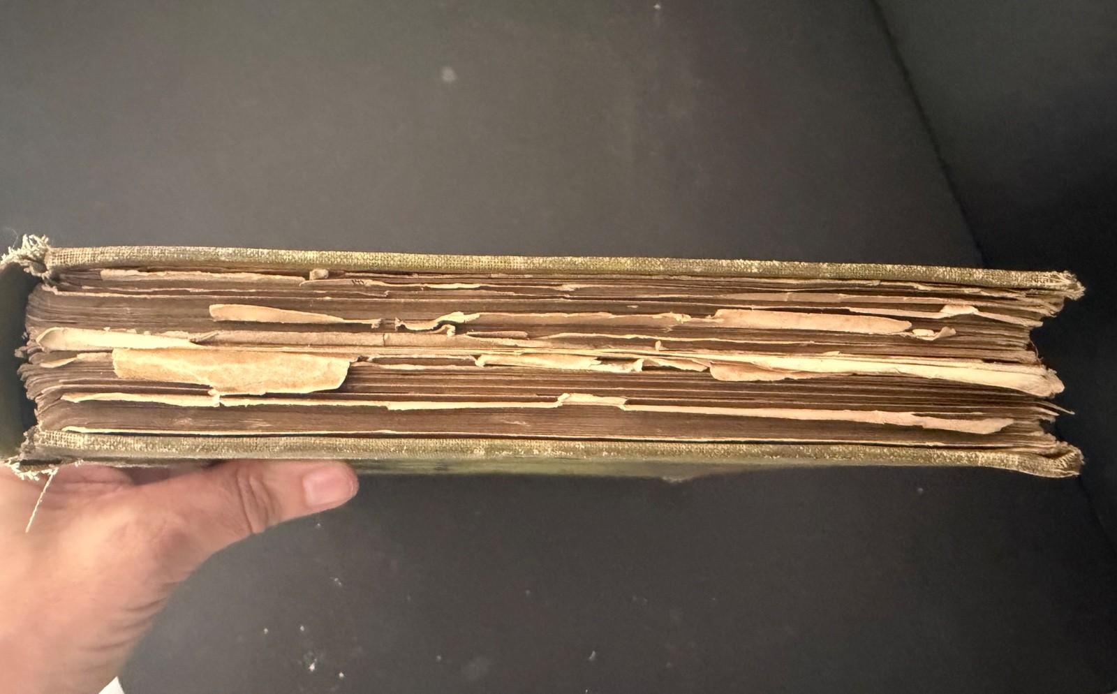 The Marvelous Land of Oz – L. Frank Baum – 1st Edition 2nd Printing (1904)