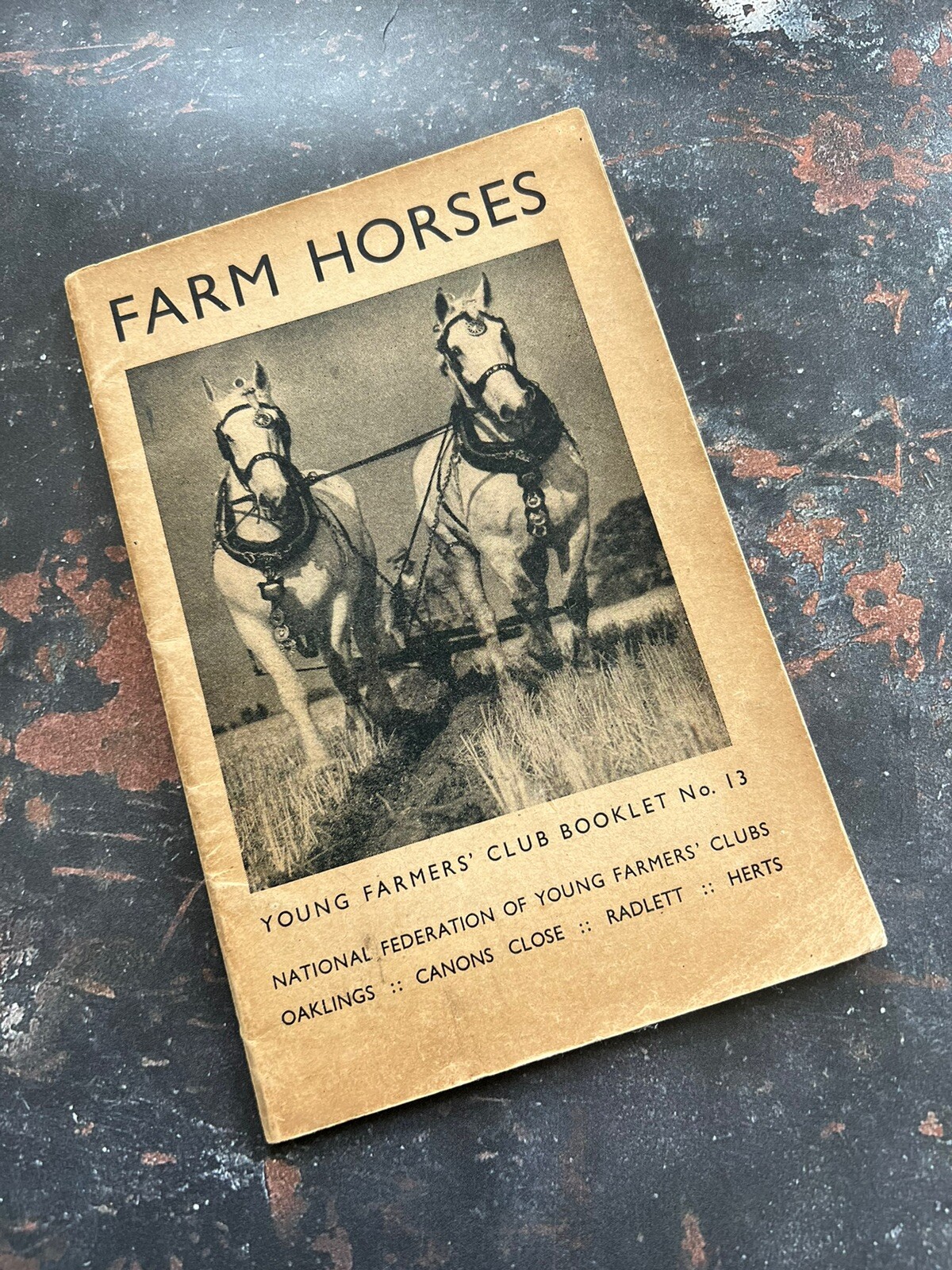 FARM HORSES. Young Farmers‘ Club Bookley No 13 C1940s. vintage treasure