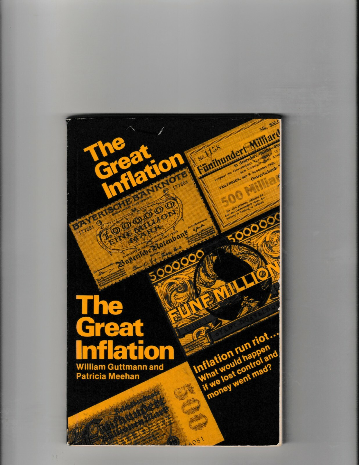 The Great Inflation Germany 1919-1923 by W. Guttmann & P. Meehan PB 1976