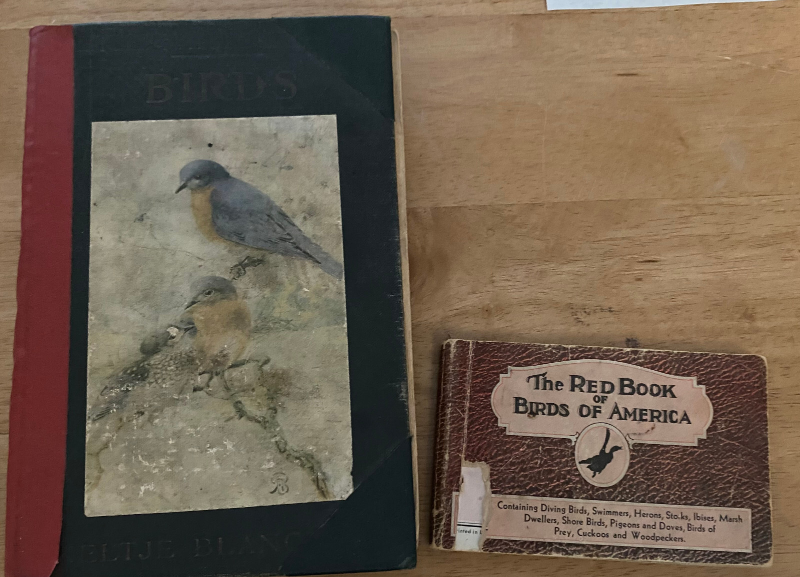 Birds Worth Knowing Neltje Blanchan 1923 Red Book Birds of America lot 2 books