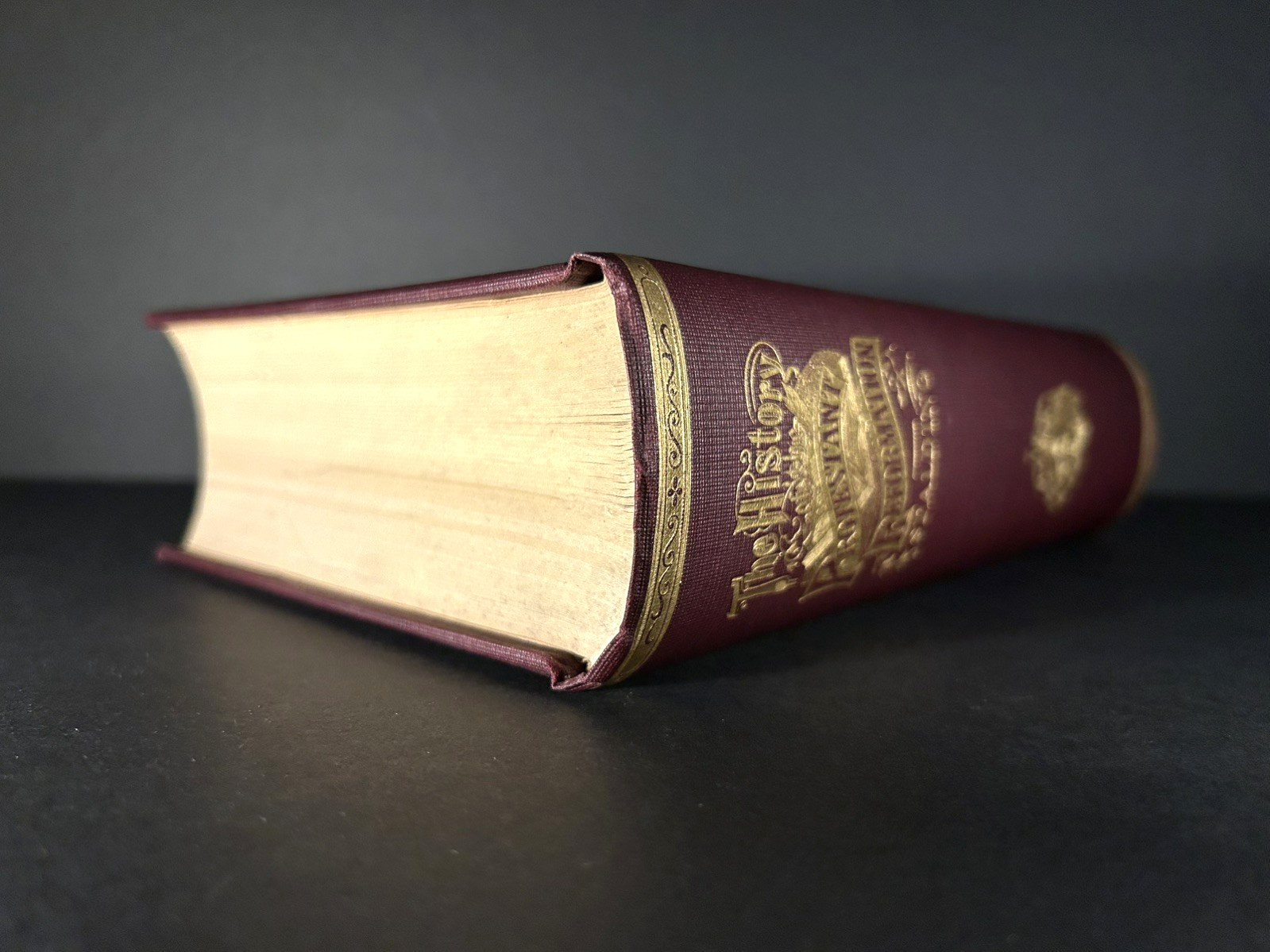 PROTESTANT REFORMATION Christianity RELIGION Church History FINE BINDING 1875