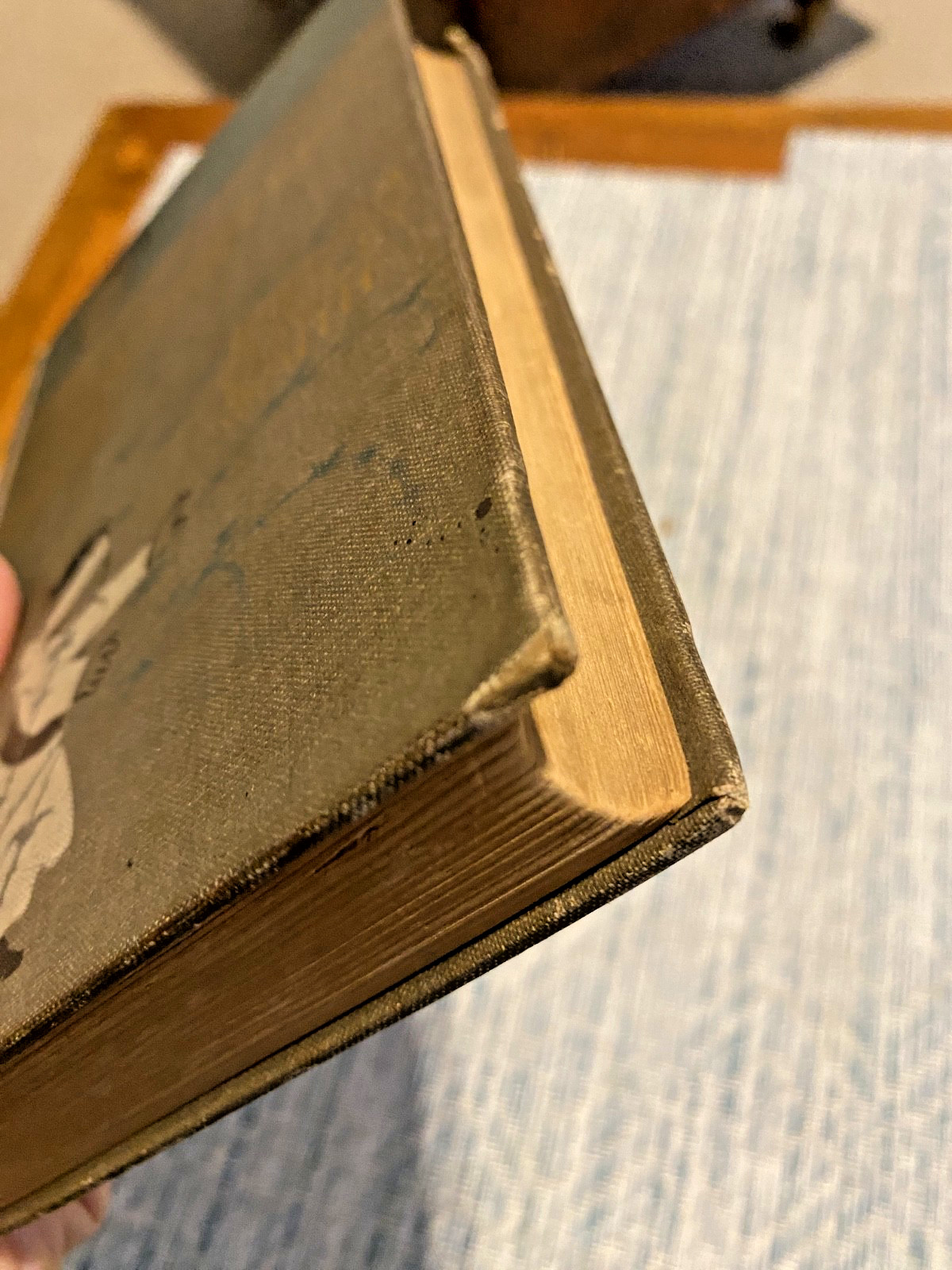 William Hawley Smith – The Evolution of „Dodd“ – A Pedagogical Story – 1897