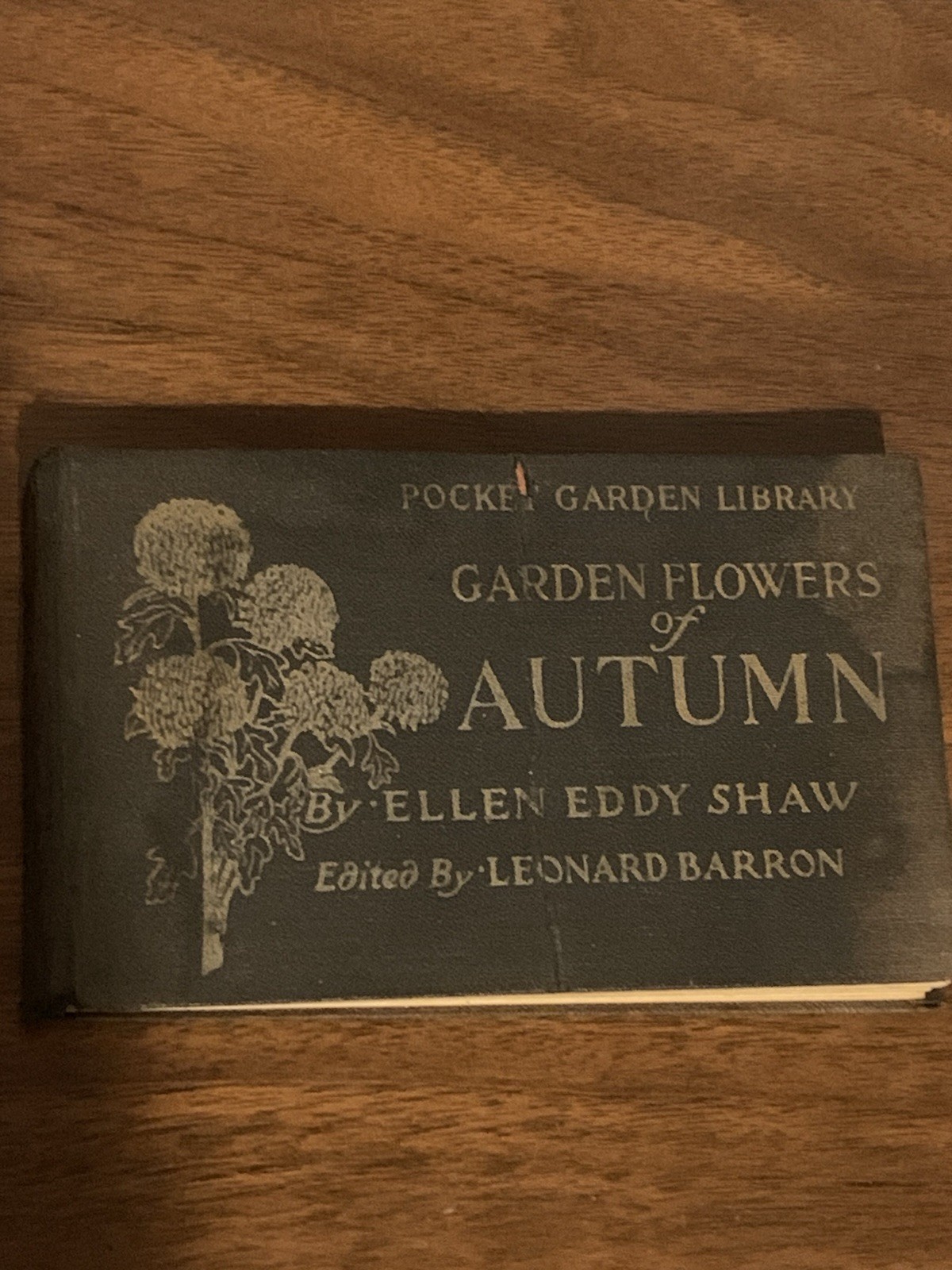 RARE 1917 ‚Pocket Library‘ „GARDEN FLOWERS“ Autumn~ELLEN EDDY SHAW~