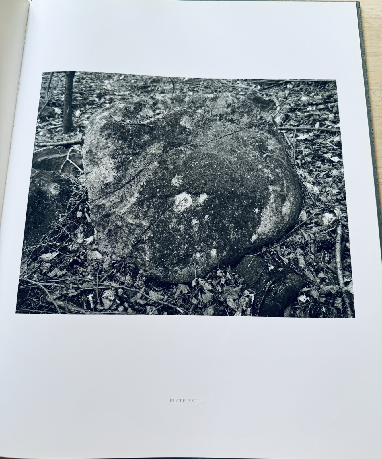 Stephen Shore: Essex County, 1st Edition, Signed, As New, Nazraeli Press, 2006