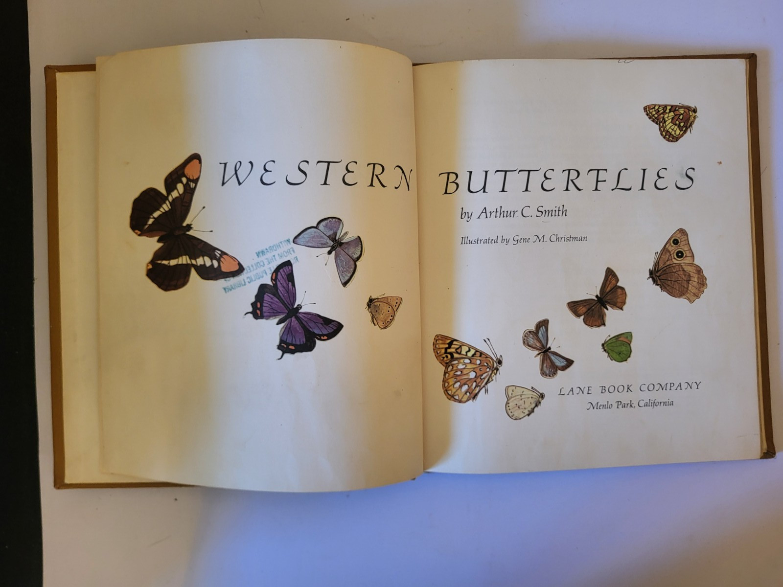 WESTERN BUTTERFLIES SUNSET JUNIOR BOOK Arthur Smith 1961 HC Children’s Nature bk