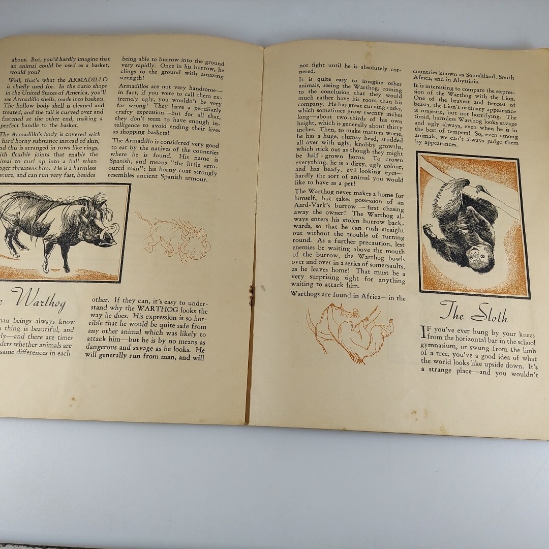 Strange Animals Of The World Bloxham & Chambers Sydney Australia Illustrated