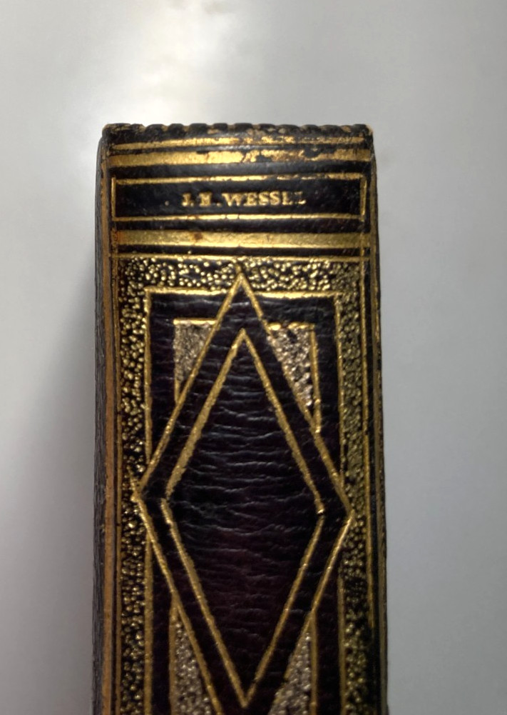 1838 Cathedral Romantic Fine Binding Morocco Silk Doublures Gold Silver WESSEL