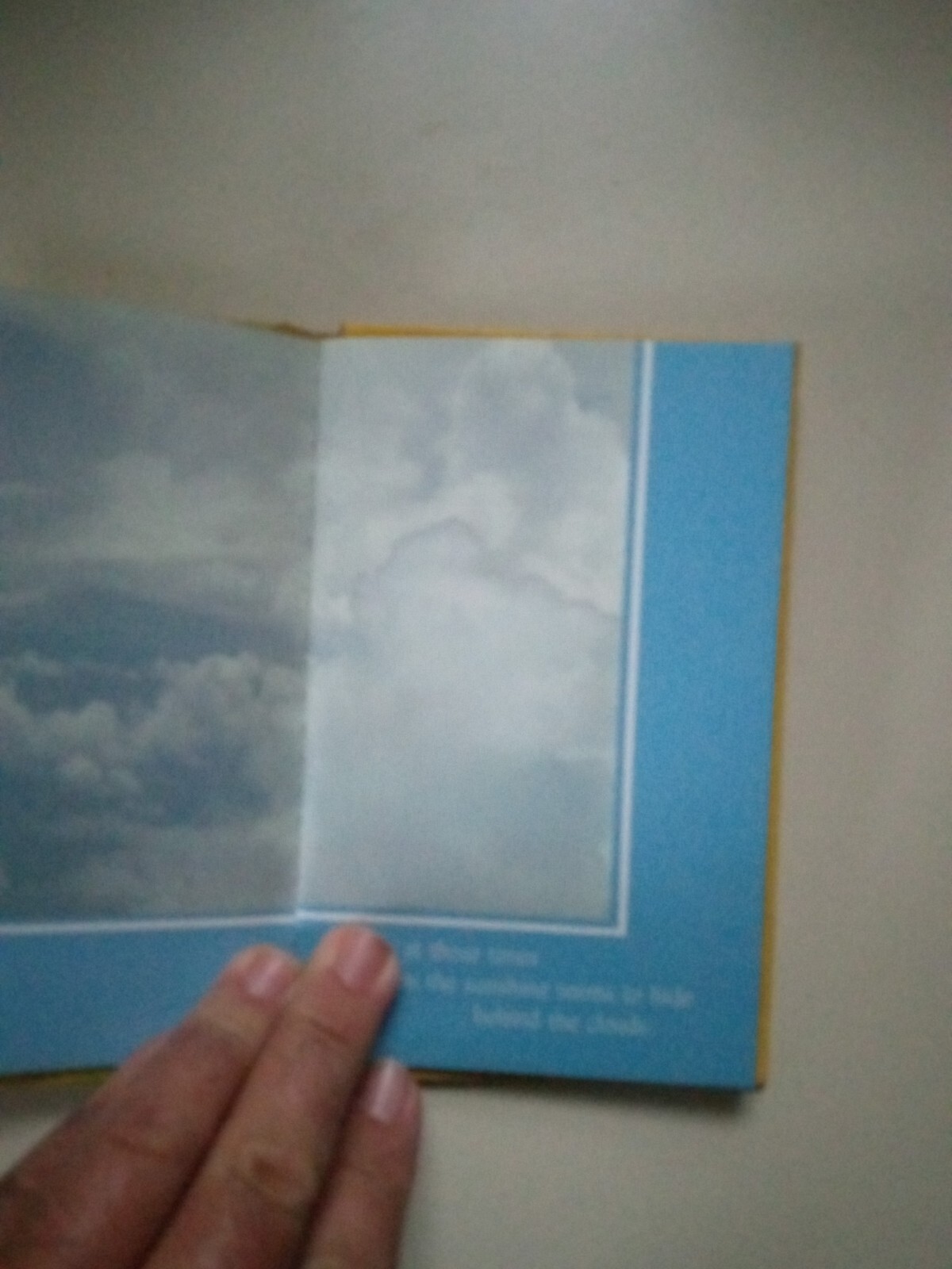 Some Special Thoughts To Keep You Company Hardcover Treasury Of Thoughts