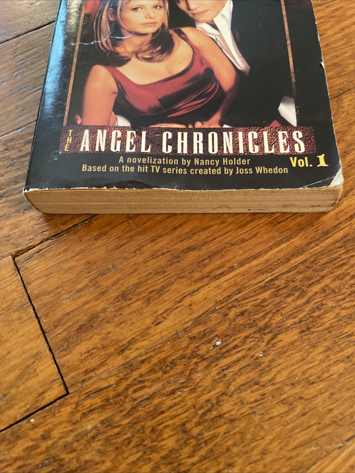 BUFFY THE VAMPIRE SLAYER Angel Chronicles #1 Nancy Holder (1998) PB TV Paperback